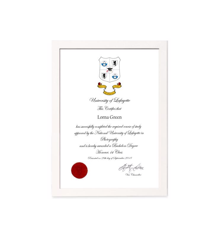 Contemporary White Certificate Frame - 1