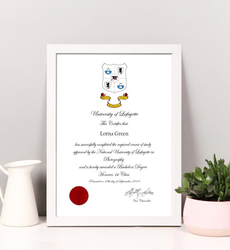 Contemporary White Certificate Frame - 2